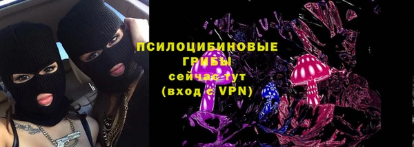 ГАЛЛЮЦИНОГЕННЫЕ ГРИБЫ Армянск