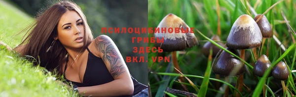 соль ск Арсеньев