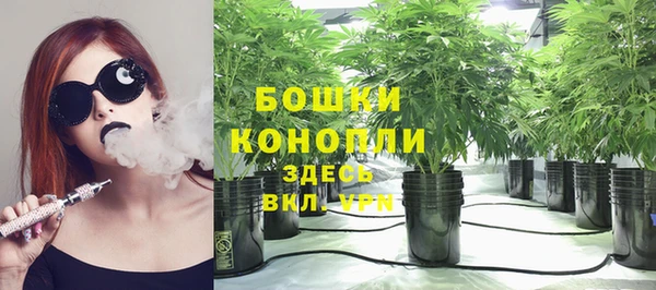 соль ск Арсеньев