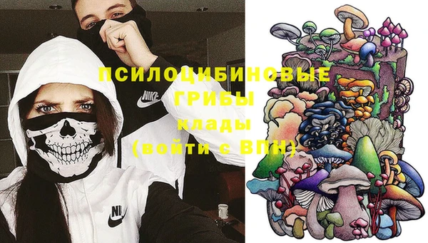 ГАЛЛЮЦИНОГЕННЫЕ ГРИБЫ Армянск